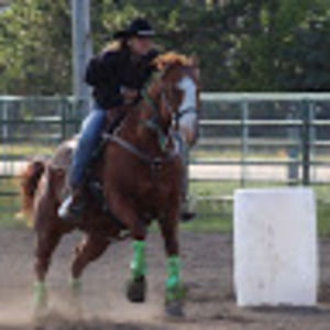 Meet your Posher, Baylee